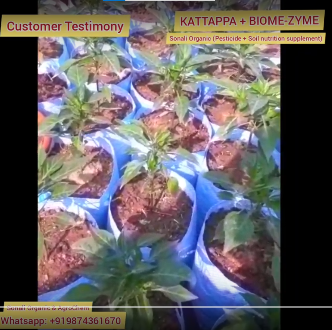 Testimony: Kattappa and Biome-zyme